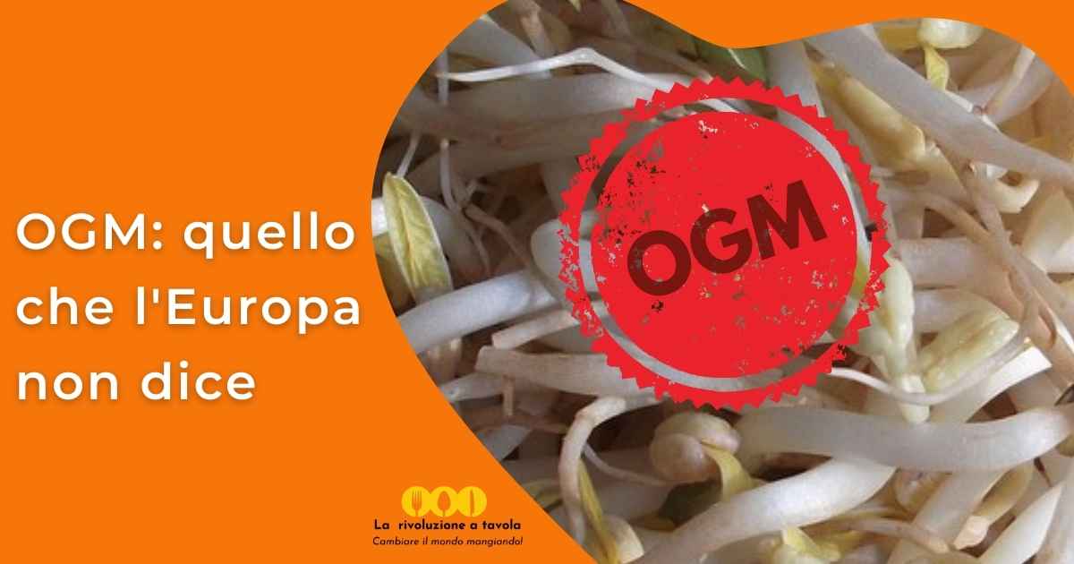 Germogli-di-soia-ogm